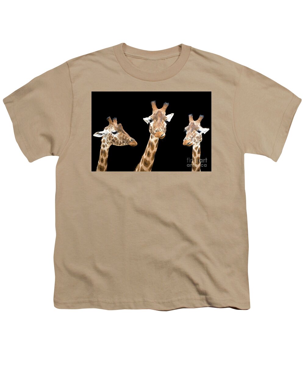 Giraffe Youth T-Shirt featuring the photograph Giraffe trio by Jane Rix