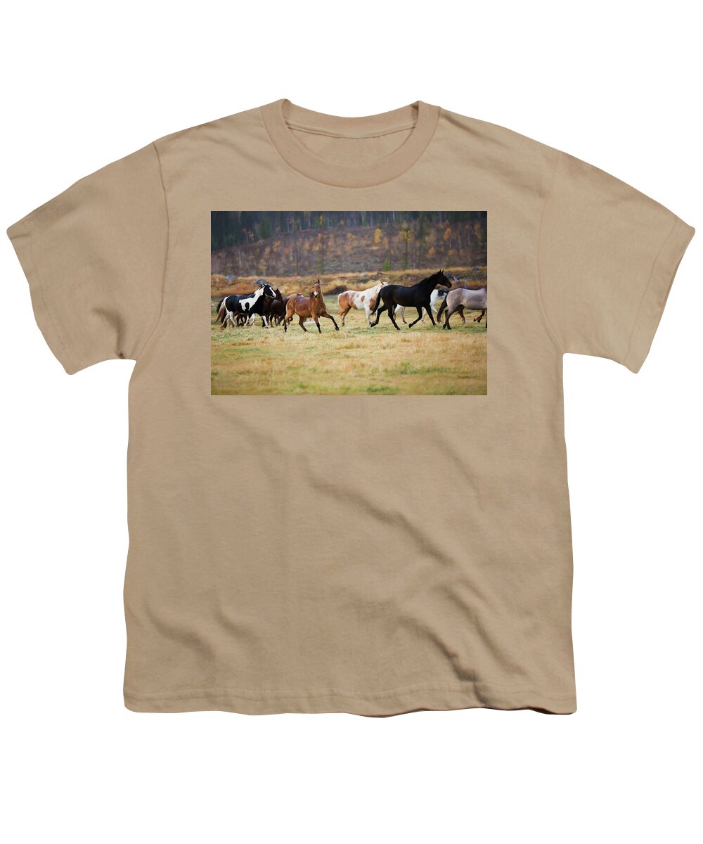 Horse Youth T-Shirt featuring the photograph Horses by Sharon Jones