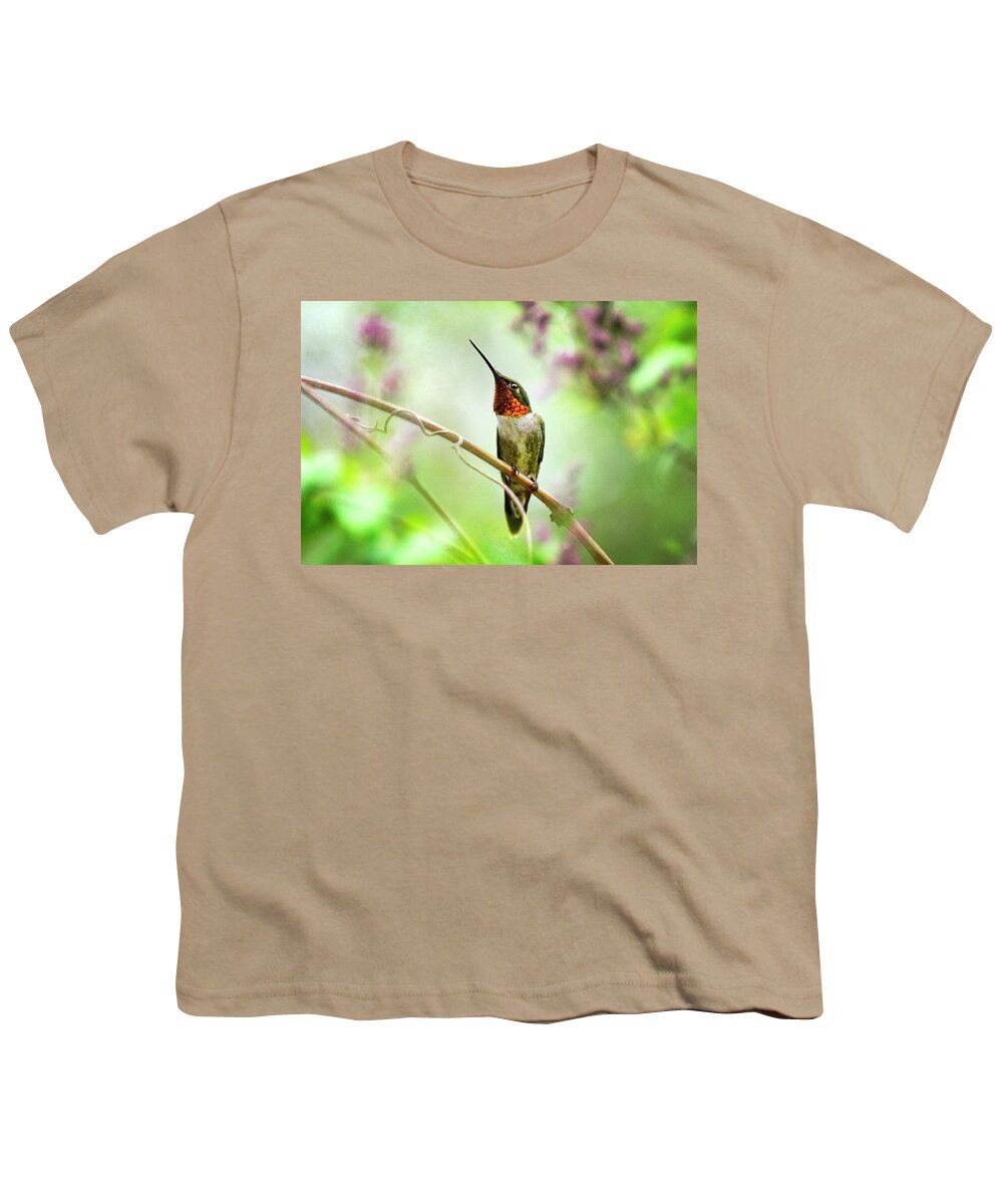 Hummingbird Youth T-Shirt featuring the mixed media Hummingbird Looking for Love by Christina Rollo
