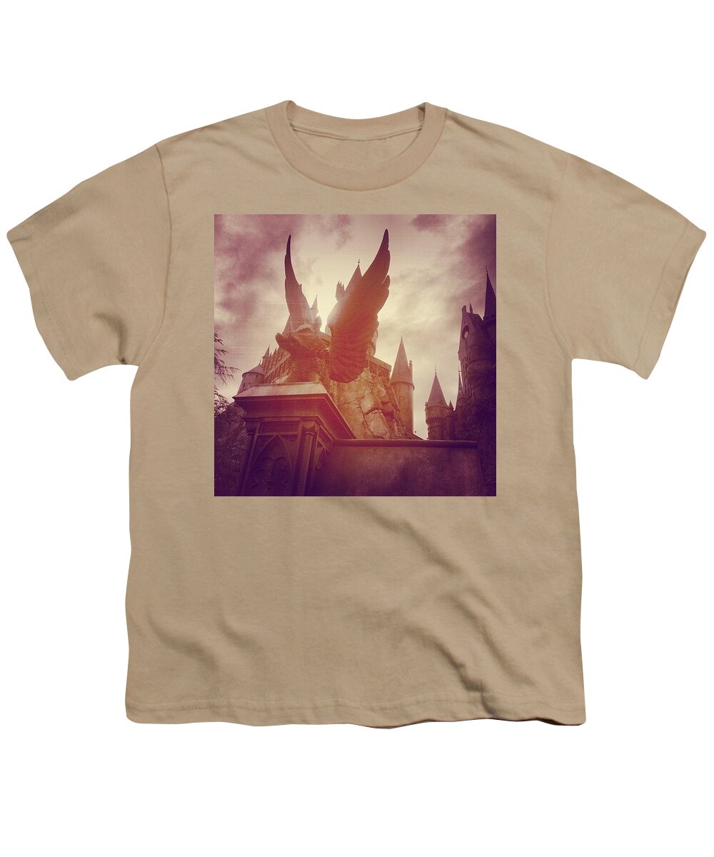 Orlando Youth T-Shirt featuring the photograph I Solemnly Swear I Am Up To No Good by Kate Arsenault 