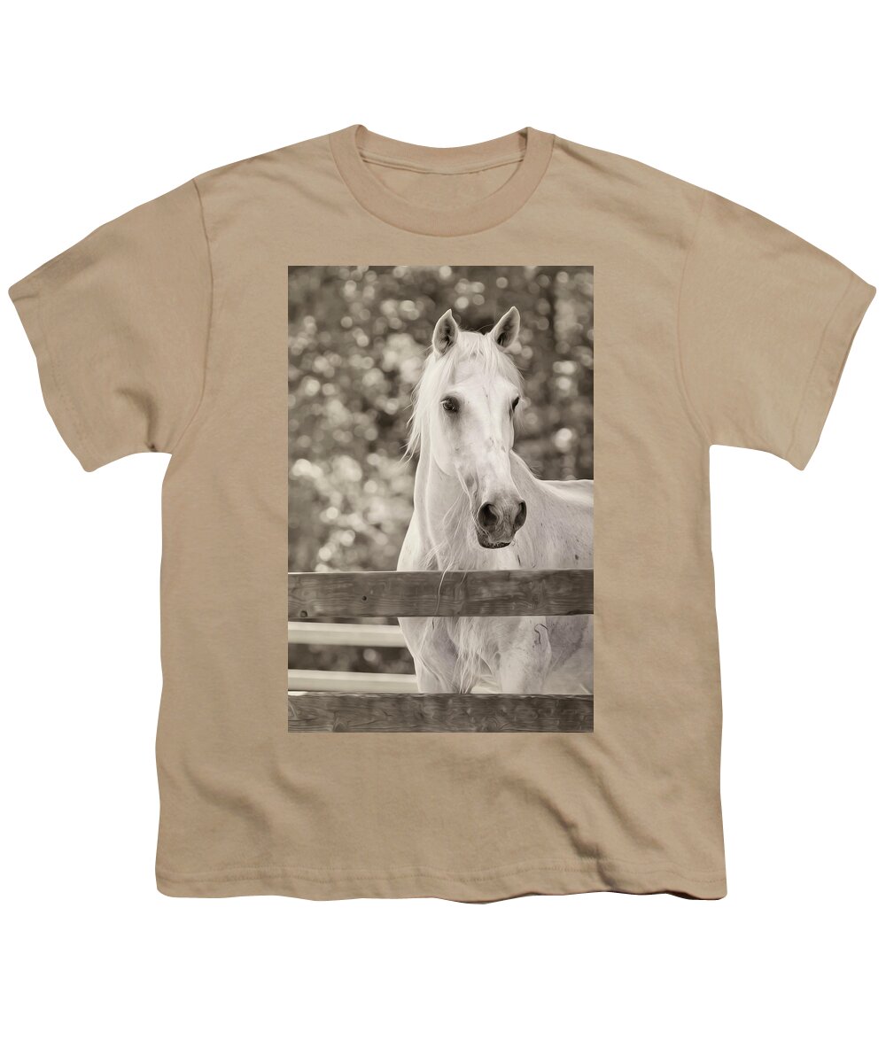 Horse Youth T-Shirt featuring the photograph Isabelle by Bill and Linda Tiepelman