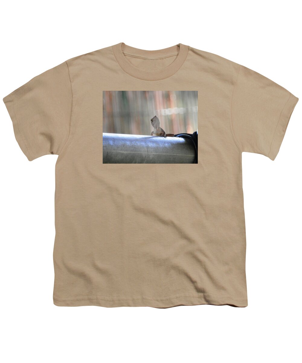 Caught This Grey Youth T-Shirt featuring the photograph Lizard Larry Look Up by Belinda Lee