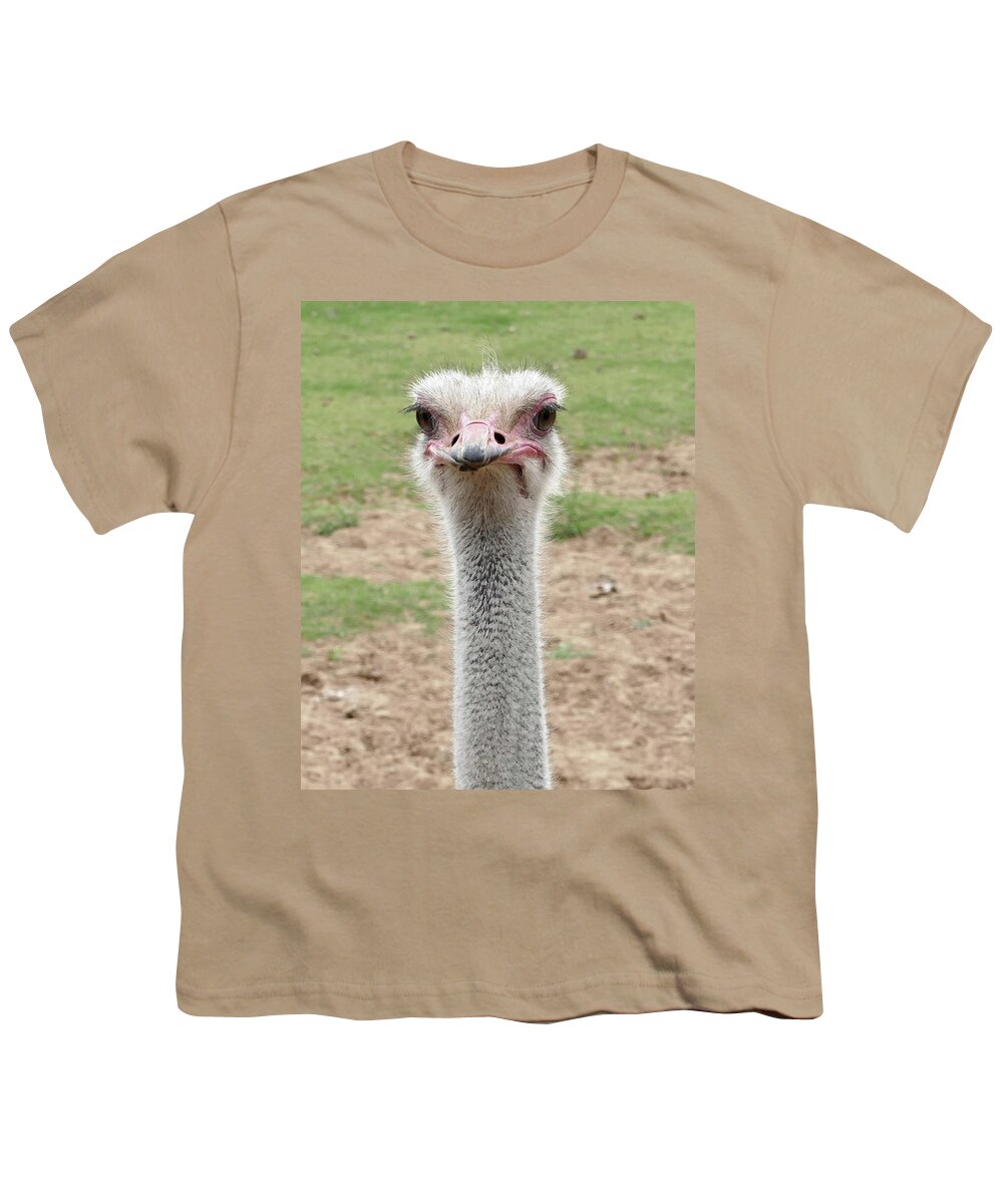 Ostrich Youth T-Shirt featuring the photograph Looking at You by Laurel Powell