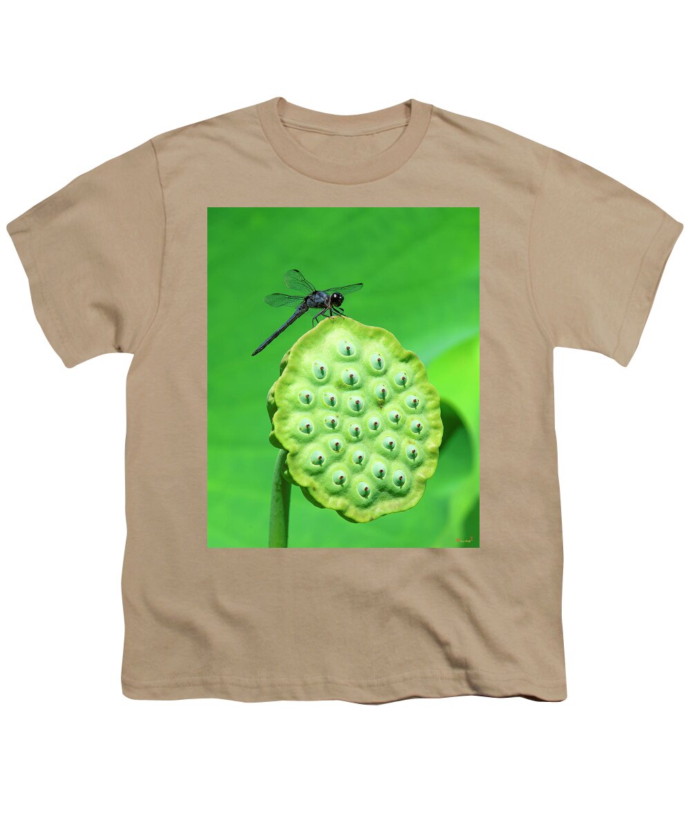 Lotus Youth T-Shirt featuring the photograph Lotus Capsule and Slaty Skimmer Dragonfly DL0106 by Gerry Gantt