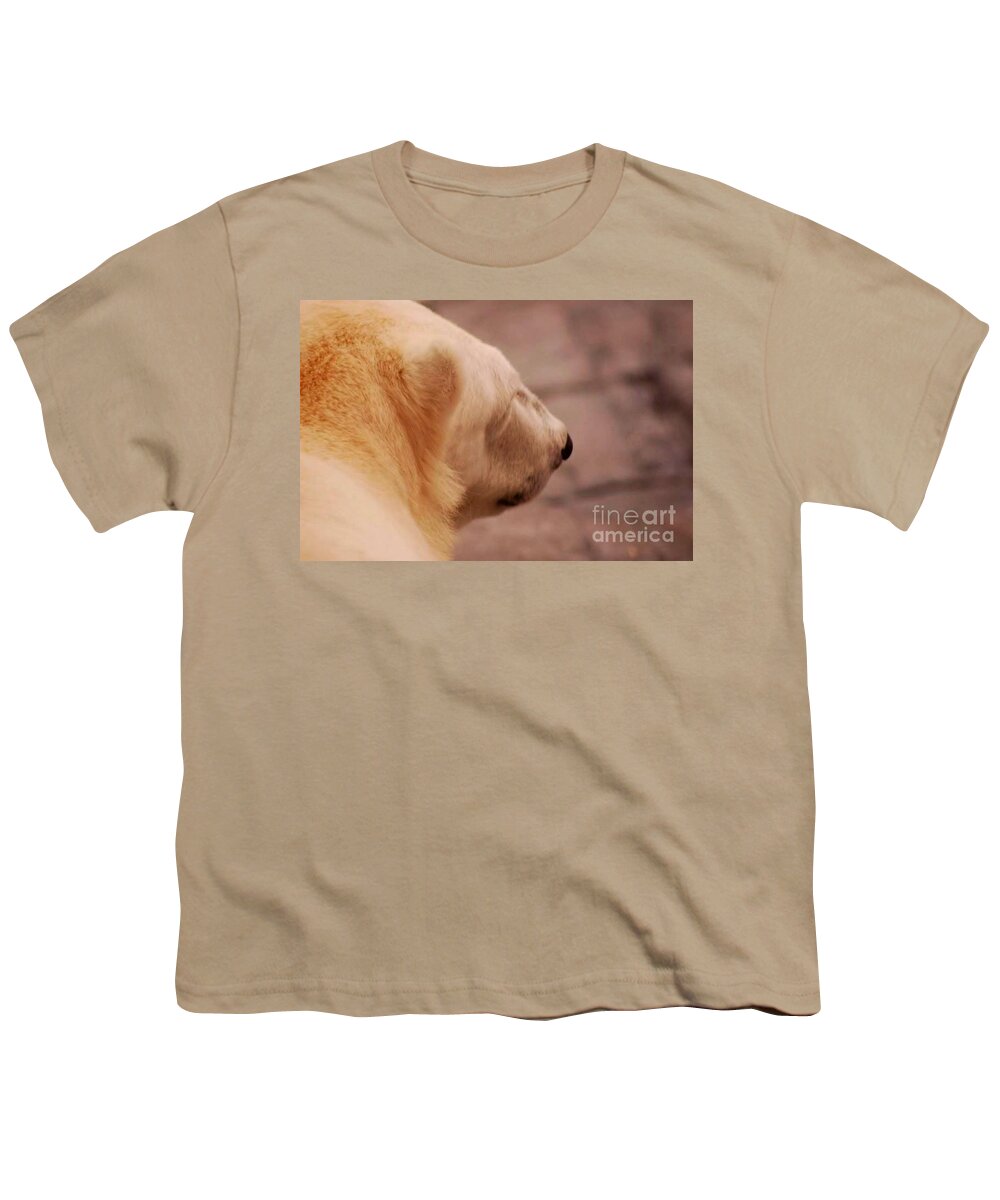 Polar Love Bear Youth T-Shirt featuring the photograph Love Bear by Susan Garren