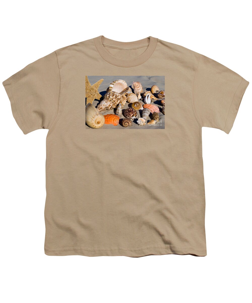 Seashells Youth T-Shirt featuring the photograph Mix Group of Seashells by Anthony Totah