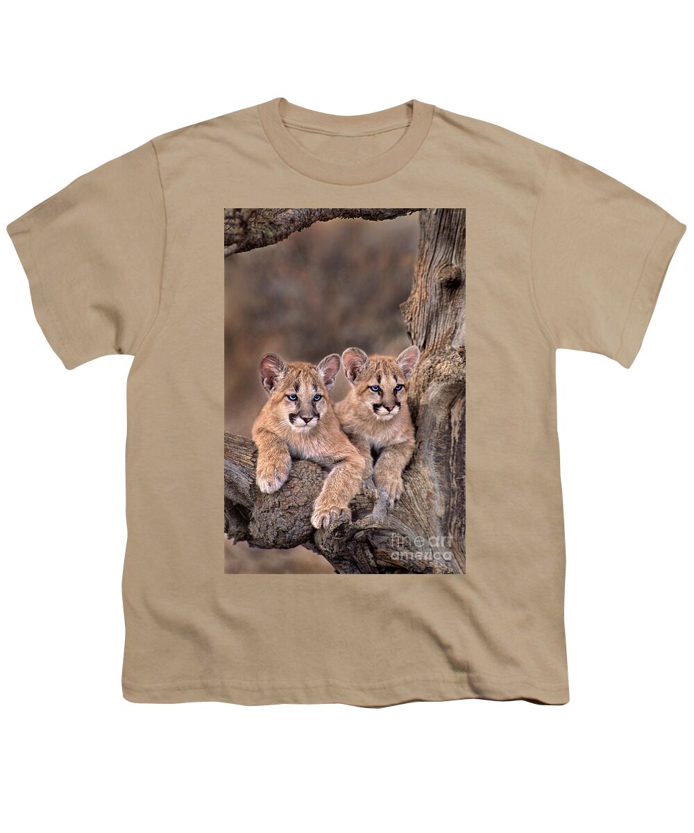 Dave Welling Youth T-Shirt featuring the photograph Mountain Lion Cubs Felis Concolor Captive by Dave Welling