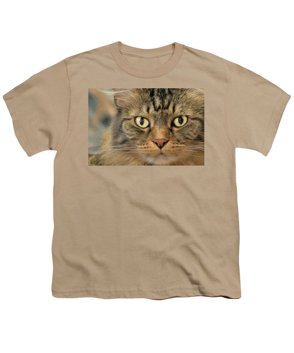 Kitty Youth T-Shirt featuring the photograph On The Prowl by Jennifer Grossnickle