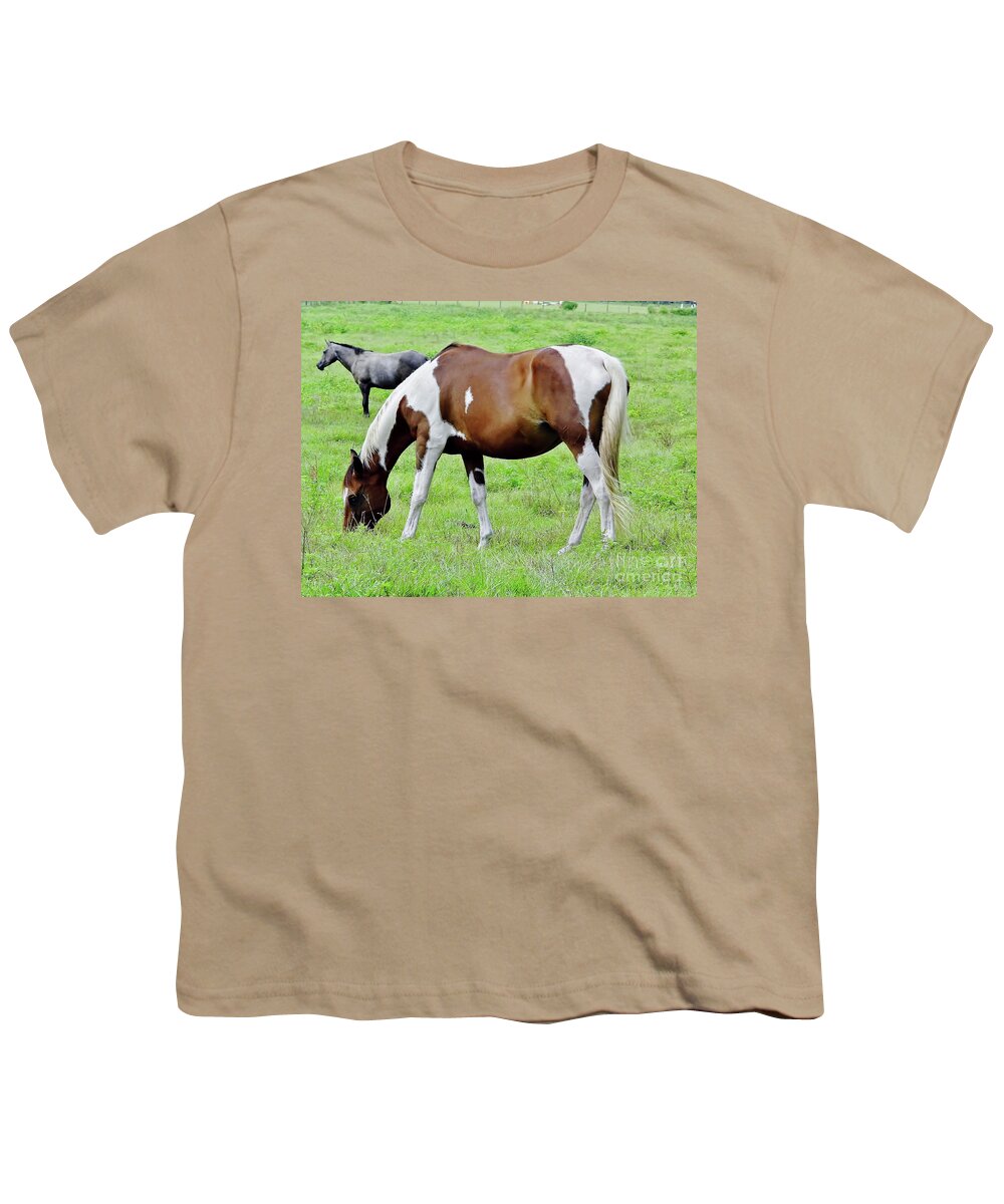 Paint Youth T-Shirt featuring the photograph Paint In The Pasture by D Hackett