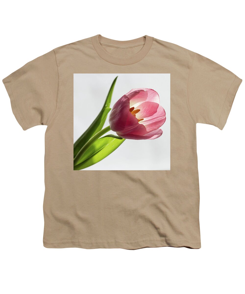 Pink Youth T-Shirt featuring the photograph Pastel pink by Shirley Mitchell