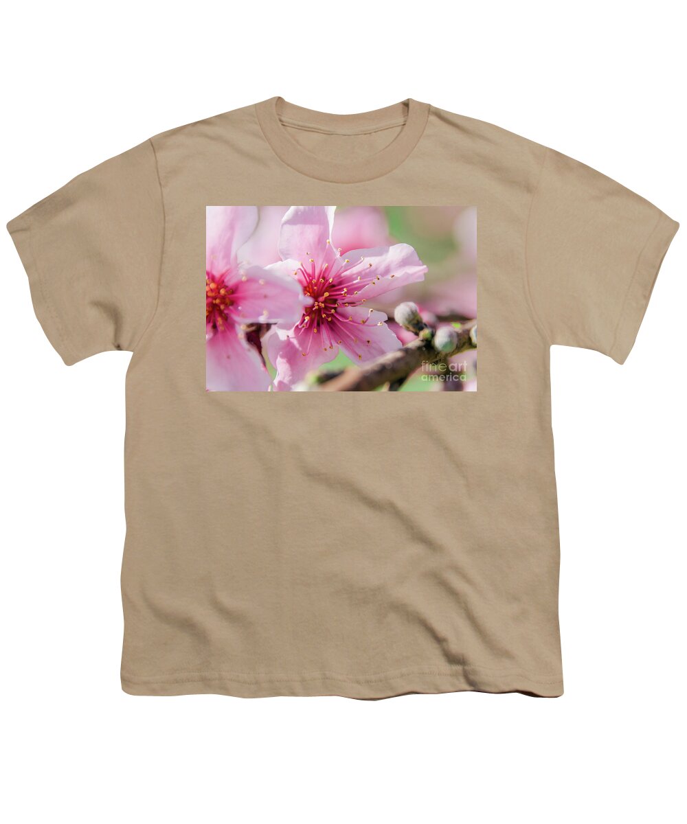Sakura Youth T-Shirt featuring the photograph Peach Blossoms 16 by Andrea Anderegg