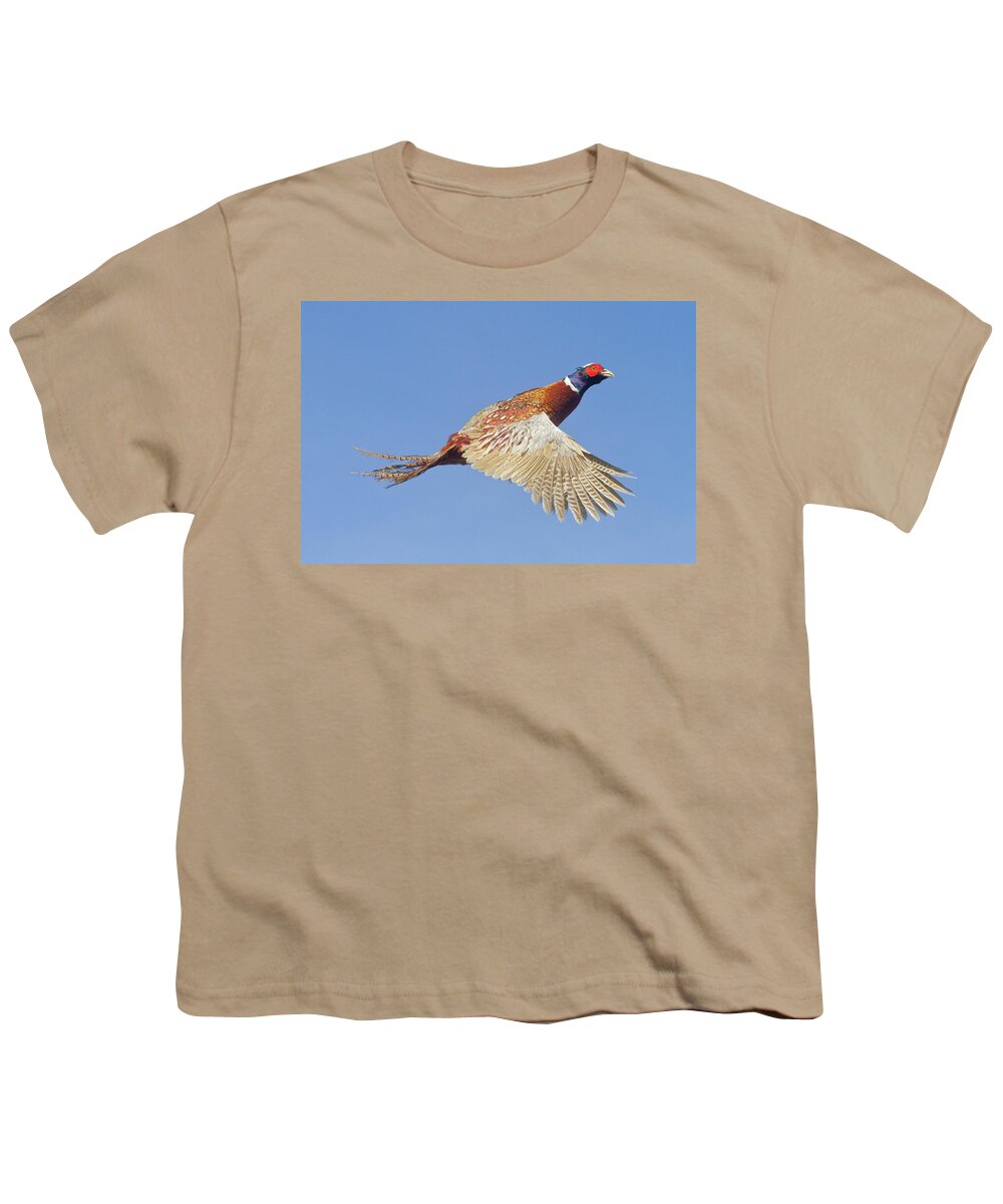 Pheasant Youth T-Shirt featuring the photograph Pheasant Wings by Mark Miller