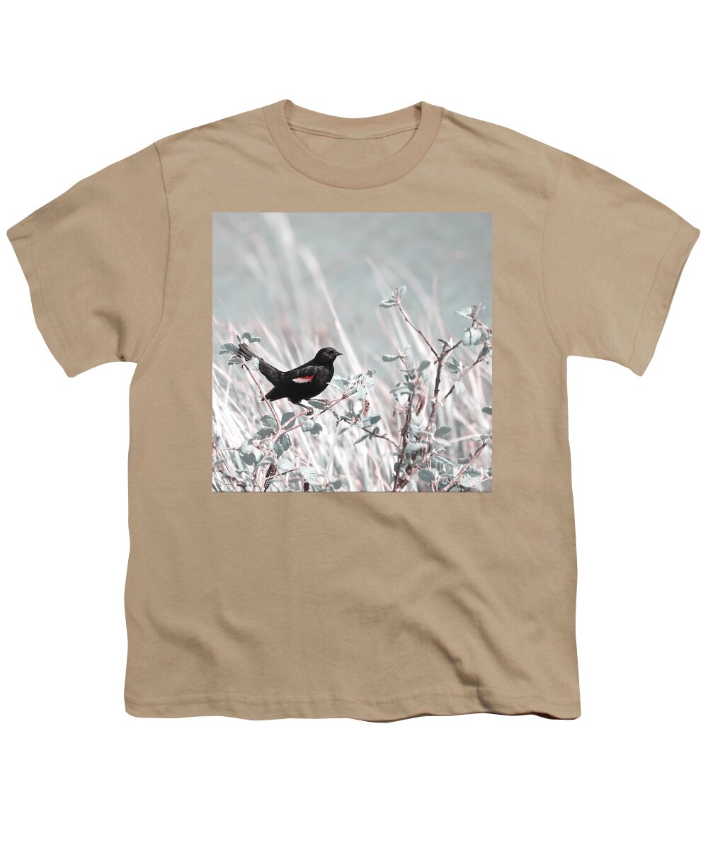 Bird Youth T-Shirt featuring the photograph Proud Male by Aimelle Ml