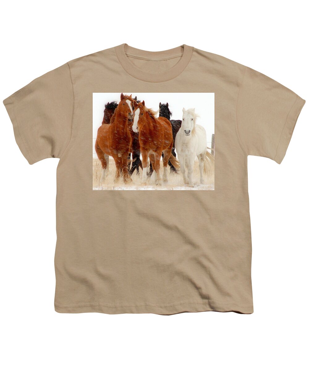 Horse Youth T-Shirt featuring the photograph Roaming Free.. by Al Swasey