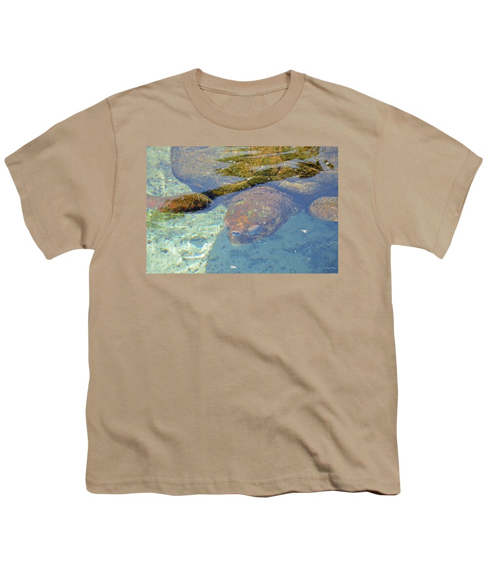 Sea Youth T-Shirt featuring the photograph Sea Turtle Under Water by Ken Figurski