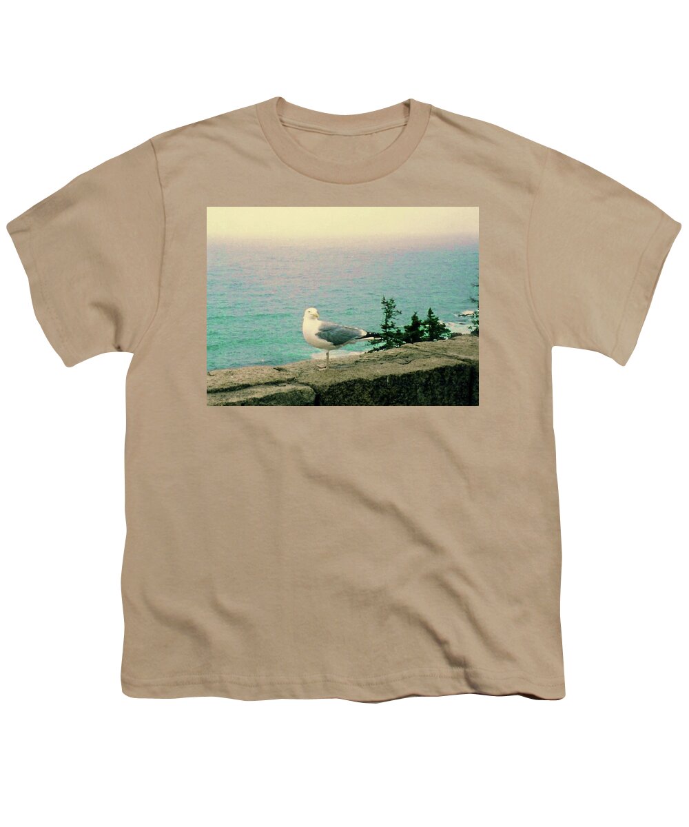 Seagull Youth T-Shirt featuring the photograph Seagull on Stone Wall by Desiree Paquette