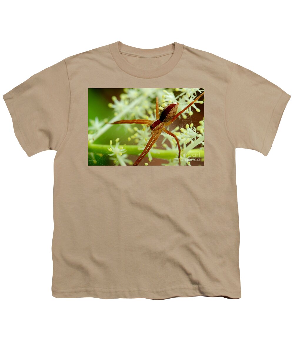 Spider Youth T-Shirt featuring the photograph Spider In The Flowers by Michael Eingle