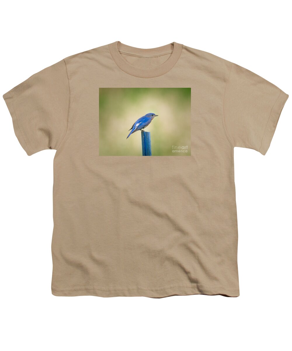 Animal Youth T-Shirt featuring the photograph Stealthy Bluebird by Robert Frederick