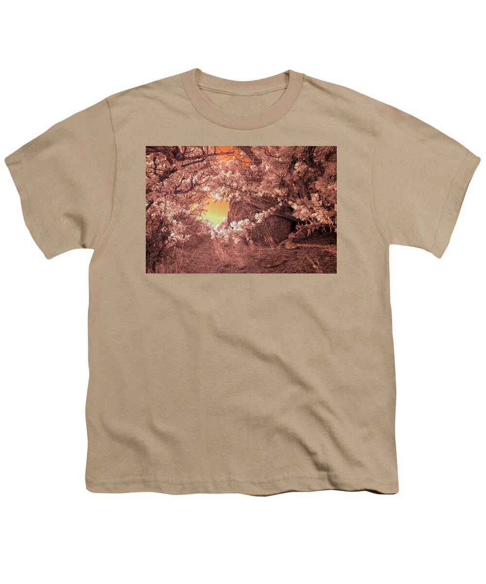 Nature Youth T-Shirt featuring the photograph The Bashful Boulder by Michael McKenney