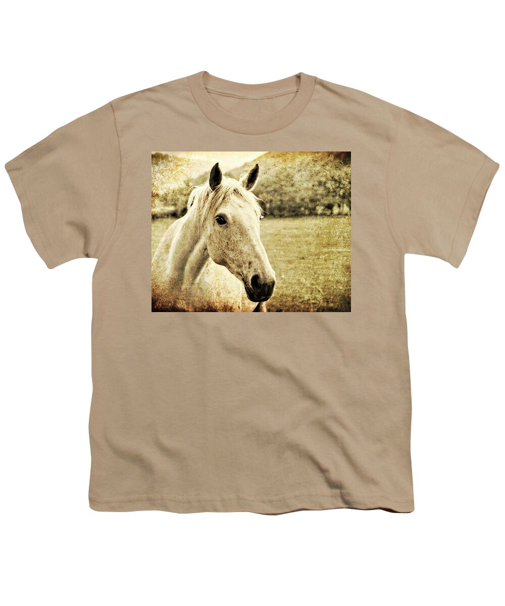 Horse Youth T-Shirt featuring the photograph The Old Grey Mare by Meirion Matthias