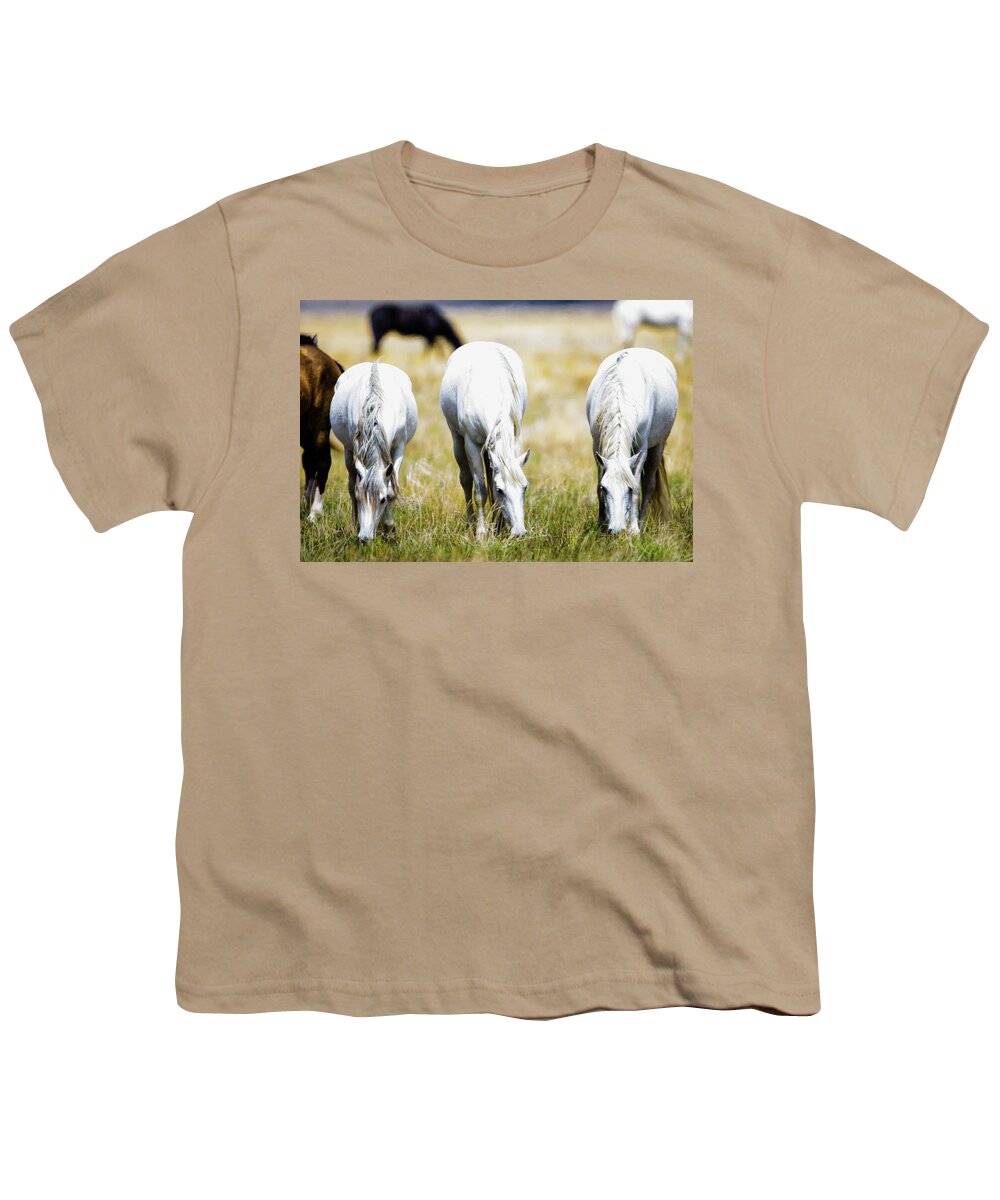 Horses Youth T-Shirt featuring the photograph The three amigos grazing by Bryan Carter
