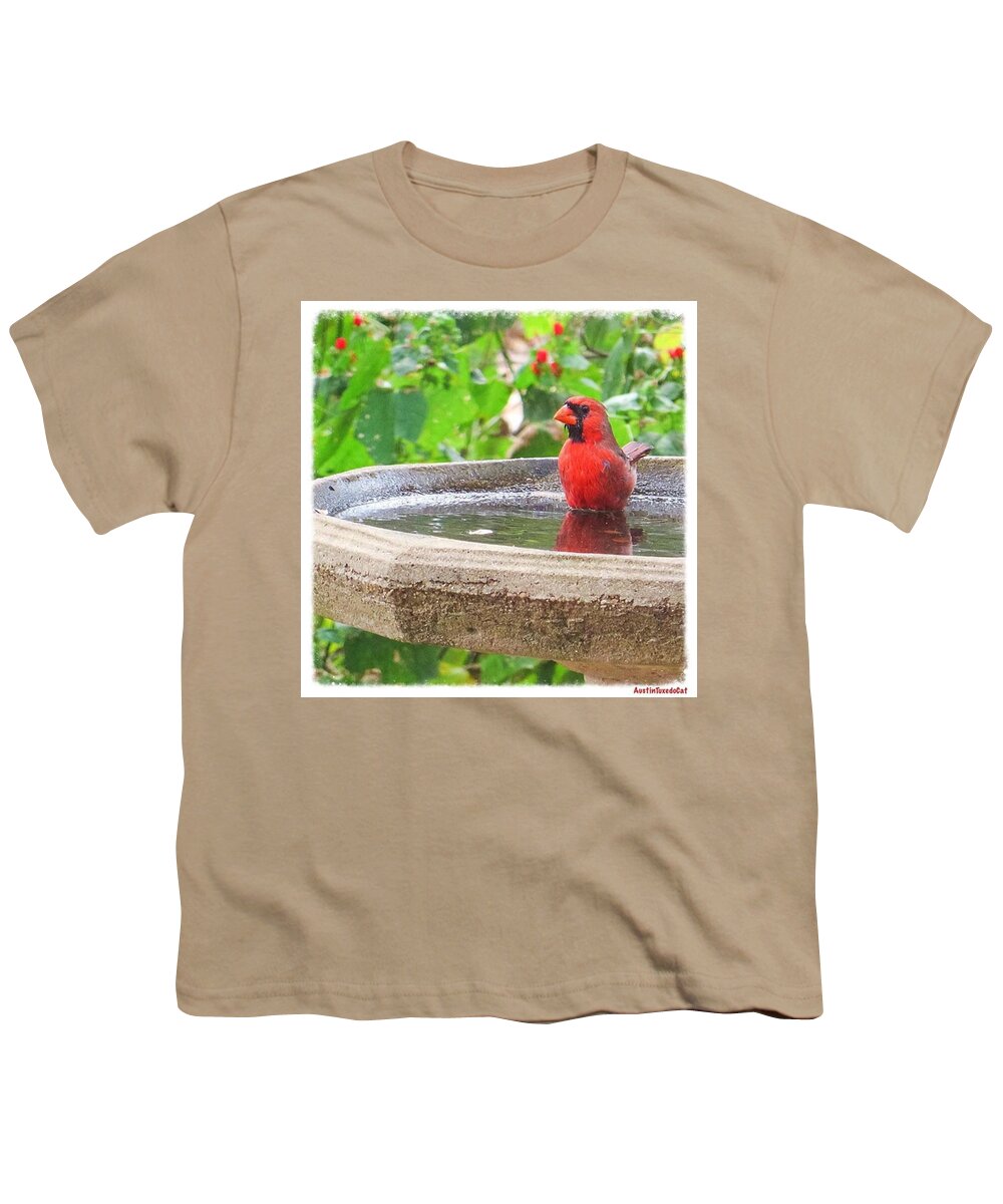 Instanaturelover Youth T-Shirt featuring the photograph This #cardinal Has The Right Idea by Austin Tuxedo Cat