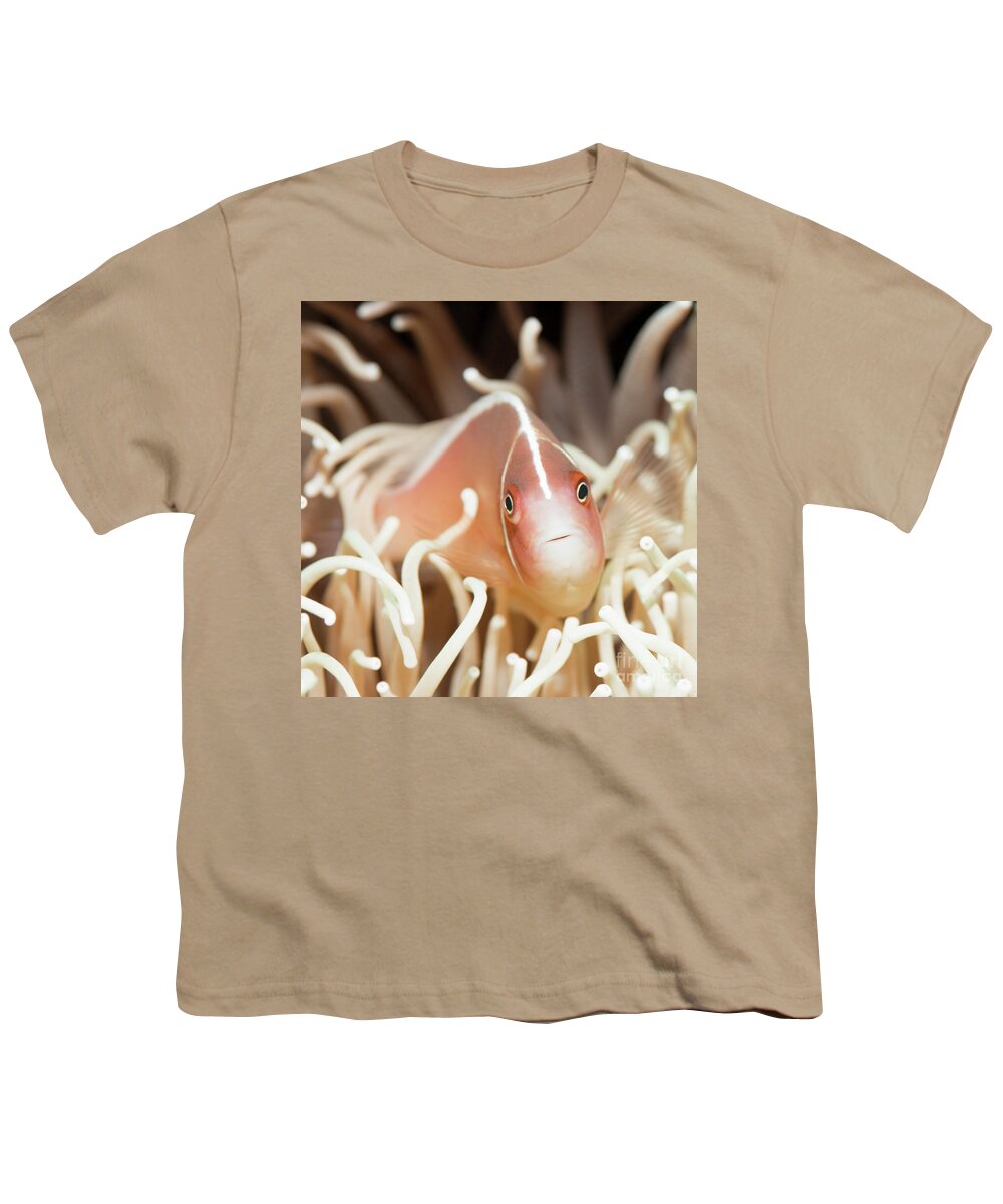 Clown-fish Youth T-Shirt featuring the photograph Tropical fish Pink clownfish by MotHaiBaPhoto Prints