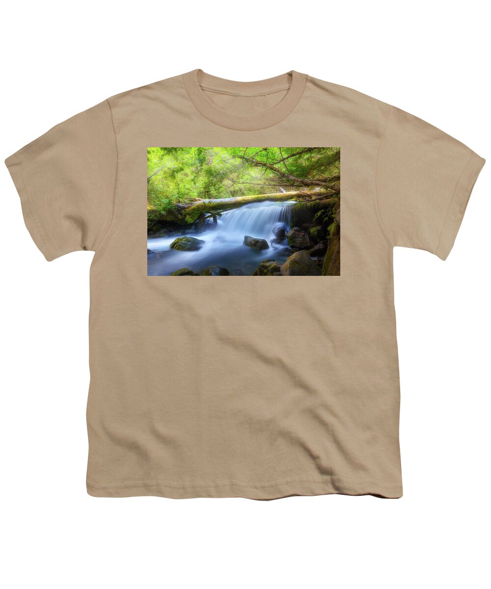 Waterfall Youth T-Shirt featuring the photograph Waterfall along Cold Spring Creek in Oregon by David Gn