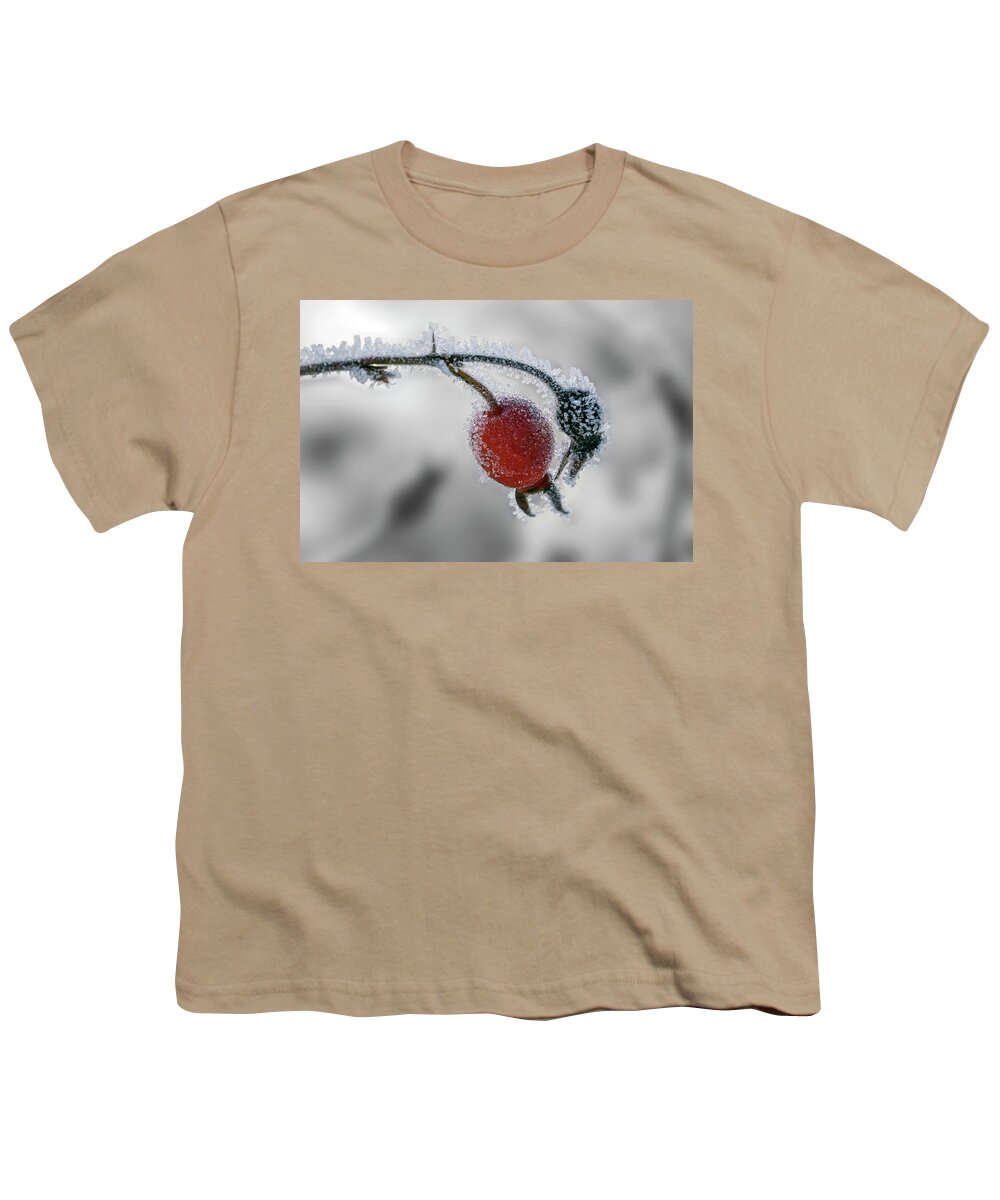 Rose Hip Youth T-Shirt featuring the photograph Winter Rose Hip by Inge Riis McDonald
