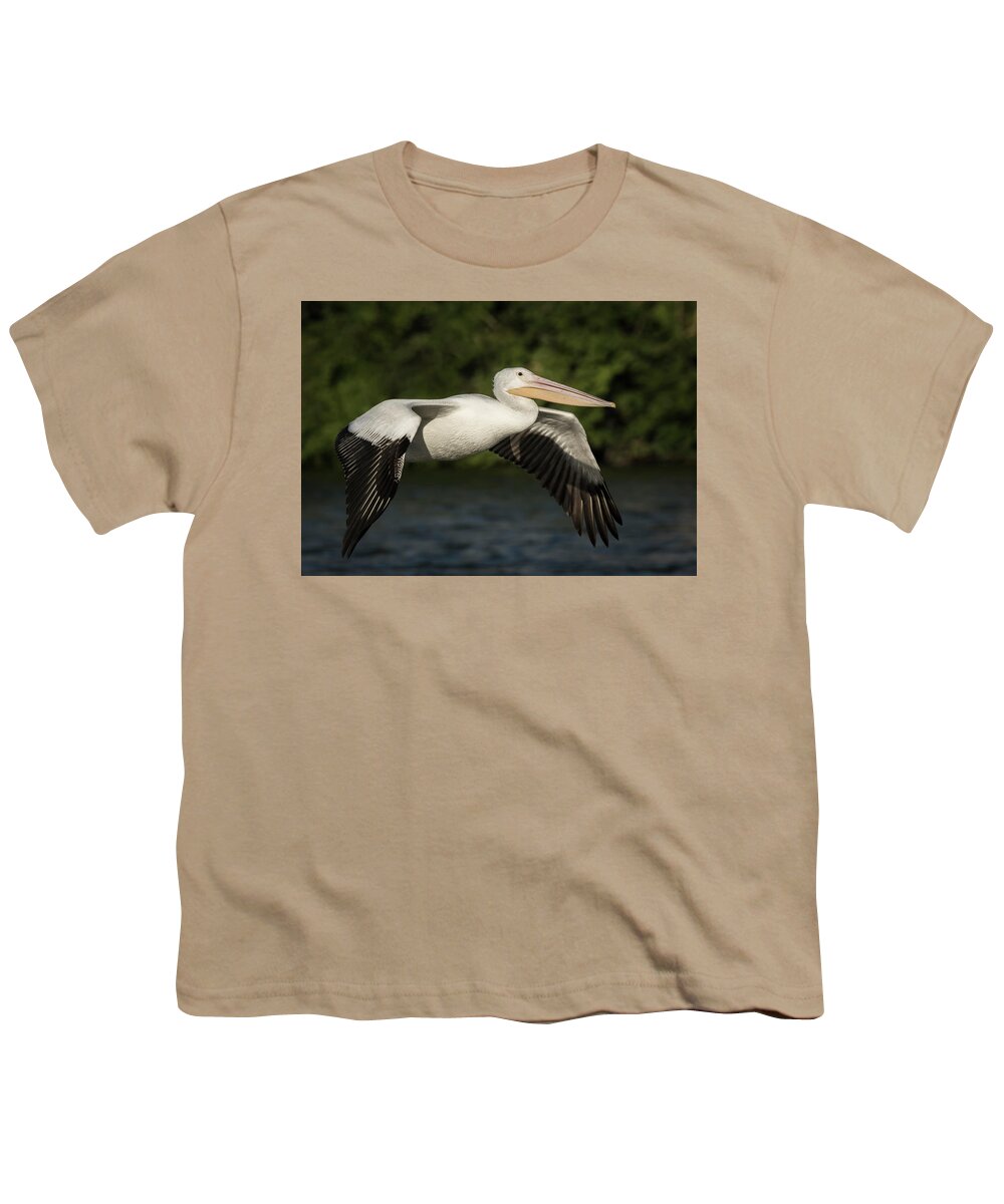 American White Pelican Youth T-Shirt featuring the photograph Young Pelican 2016-1 by Thomas Young