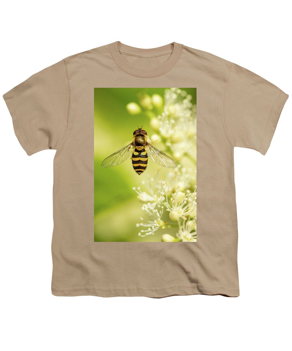 Nature Youth T-Shirt featuring the photograph Bee Up by Bob Cournoyer