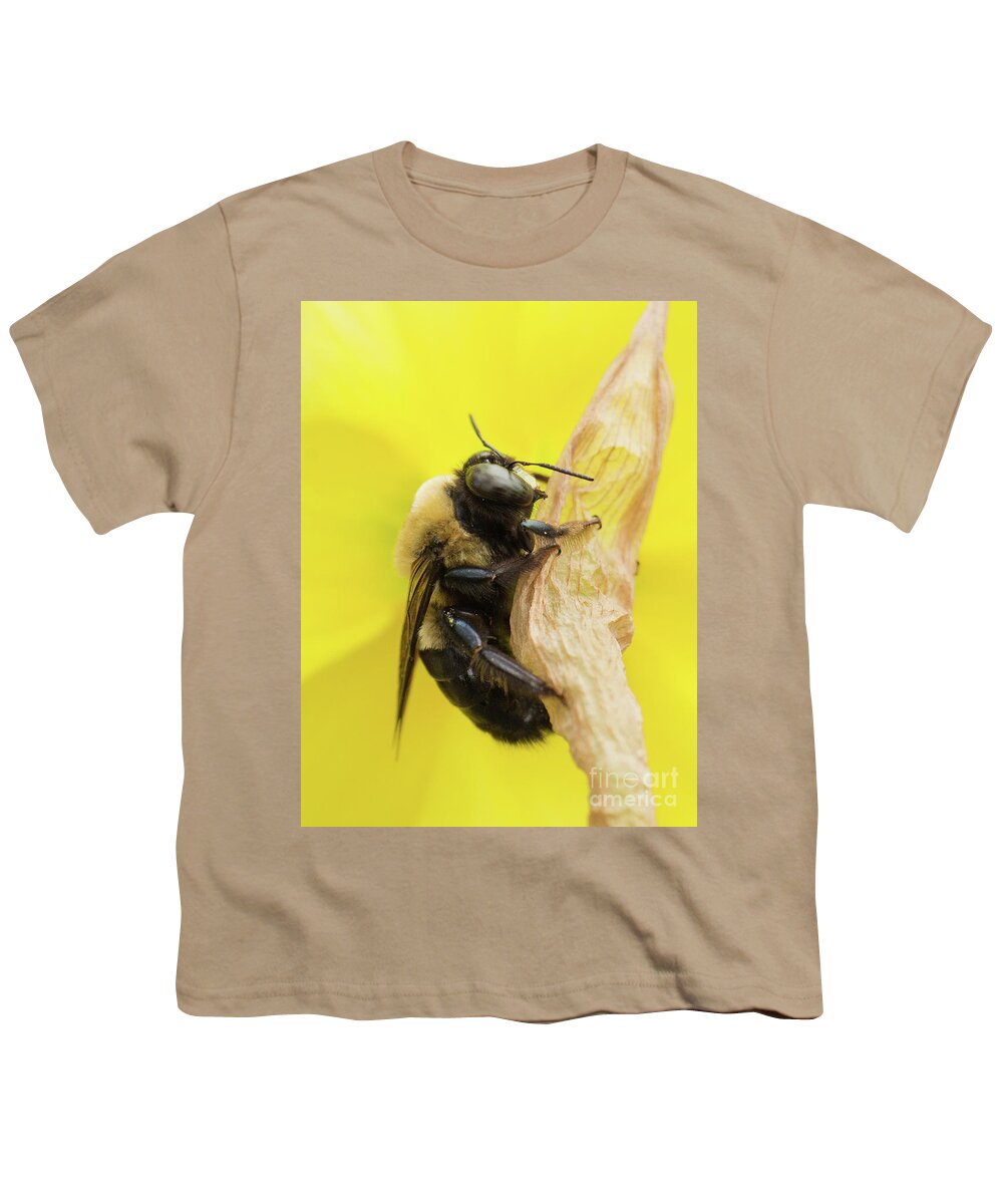 Bee Youth T-Shirt featuring the photograph Clinging On by Michelle Tinger