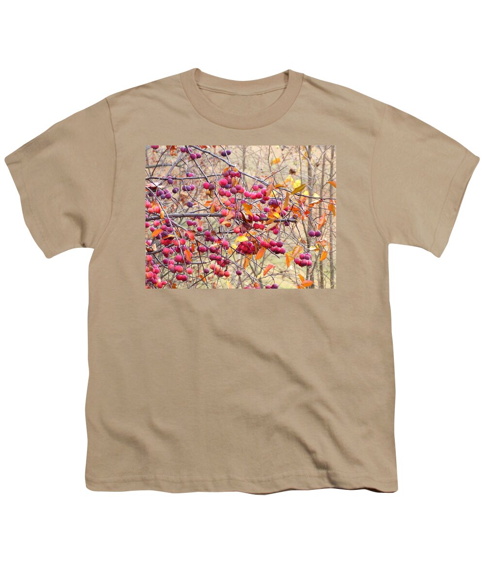 Crabapples Youth T-Shirt featuring the photograph Days Of Autumn 20 by Will Borden