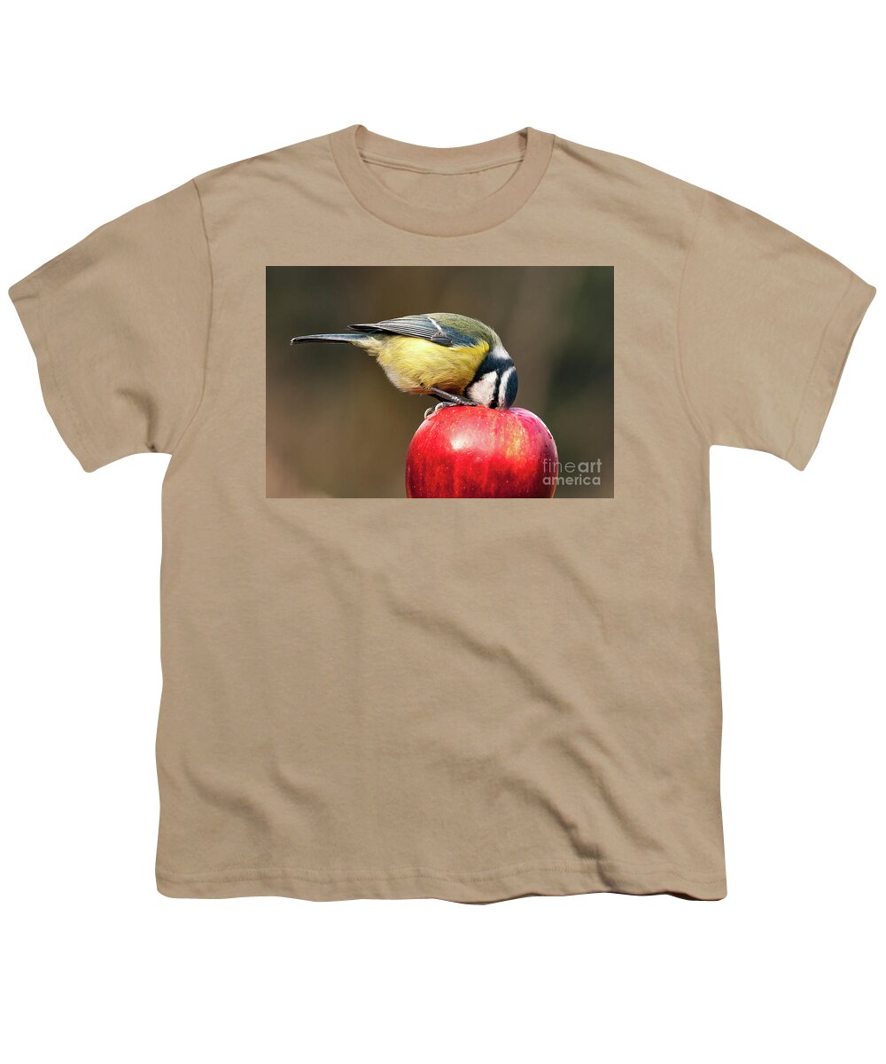 Britain Youth T-Shirt featuring the photograph Detailed blue tit with beak inside a red apple by Simon Bratt