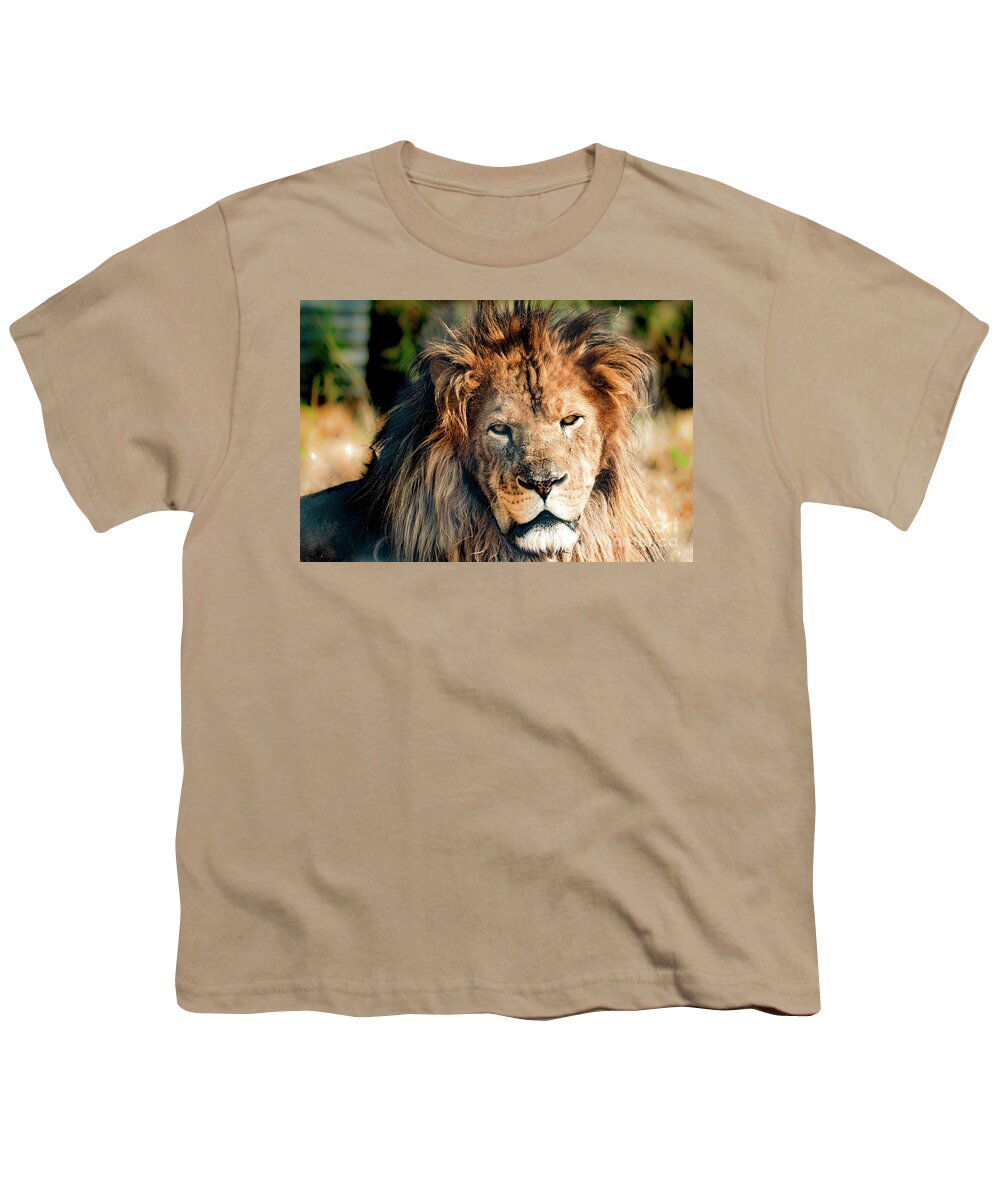 Lion Youth T-Shirt featuring the photograph If looks can kill by Sam Rino