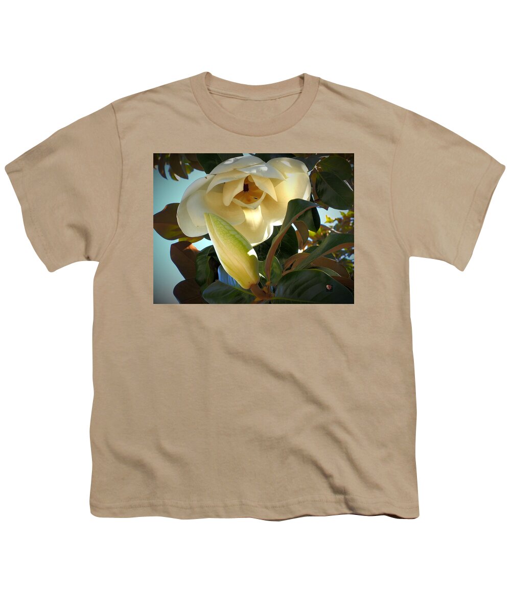 Botanical Youth T-Shirt featuring the photograph Magnolia Blooms by Richard Thomas