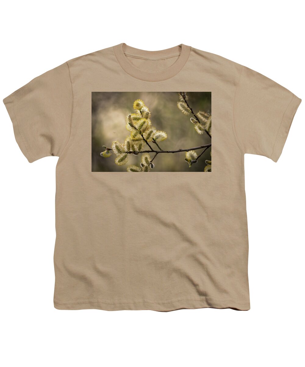 April Youth T-Shirt featuring the photograph Pussy Willow by Chris Smith