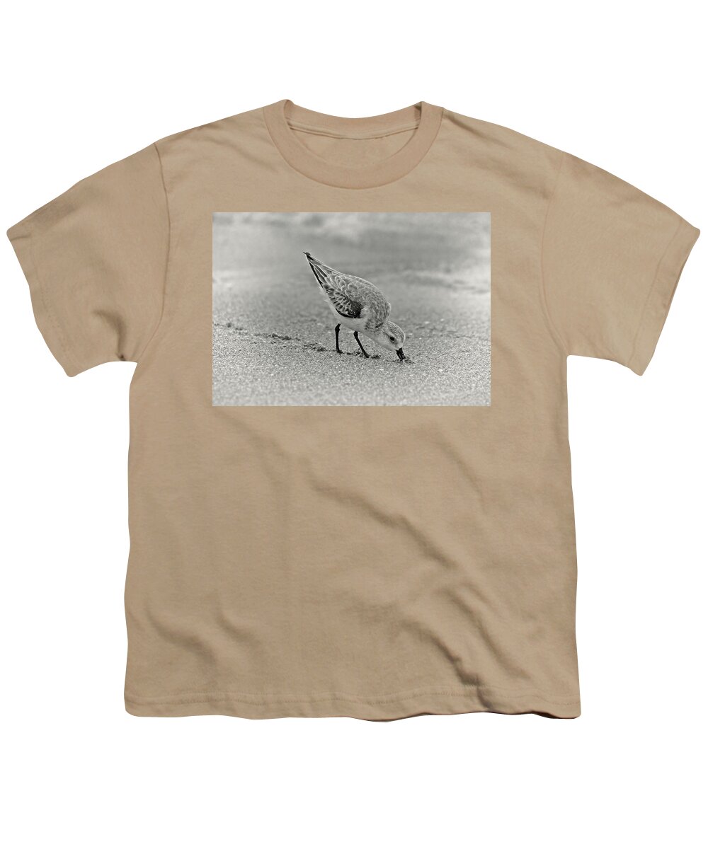 Sanderling Youth T-Shirt featuring the photograph Sanderling Foraging For Food by Steve DaPonte