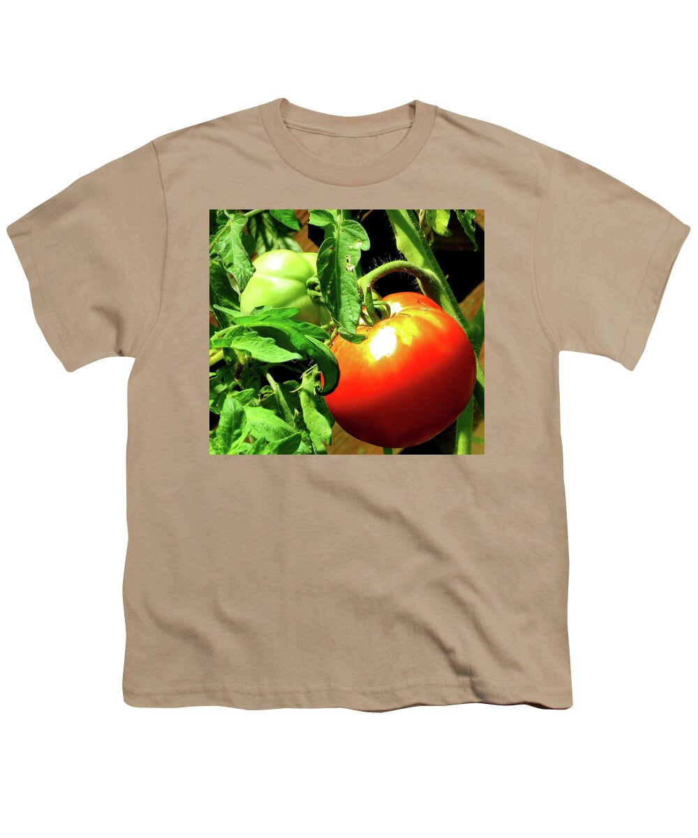Tomatoes Youth T-Shirt featuring the photograph Vine Ripened Jersey Tomatoes by Linda Stern