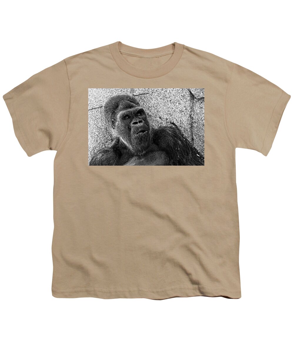 Winston Youth T-Shirt featuring the photograph Winston -- Western Lowland Gorilla at San Diego Zoo Safari Park, California by Darin Volpe