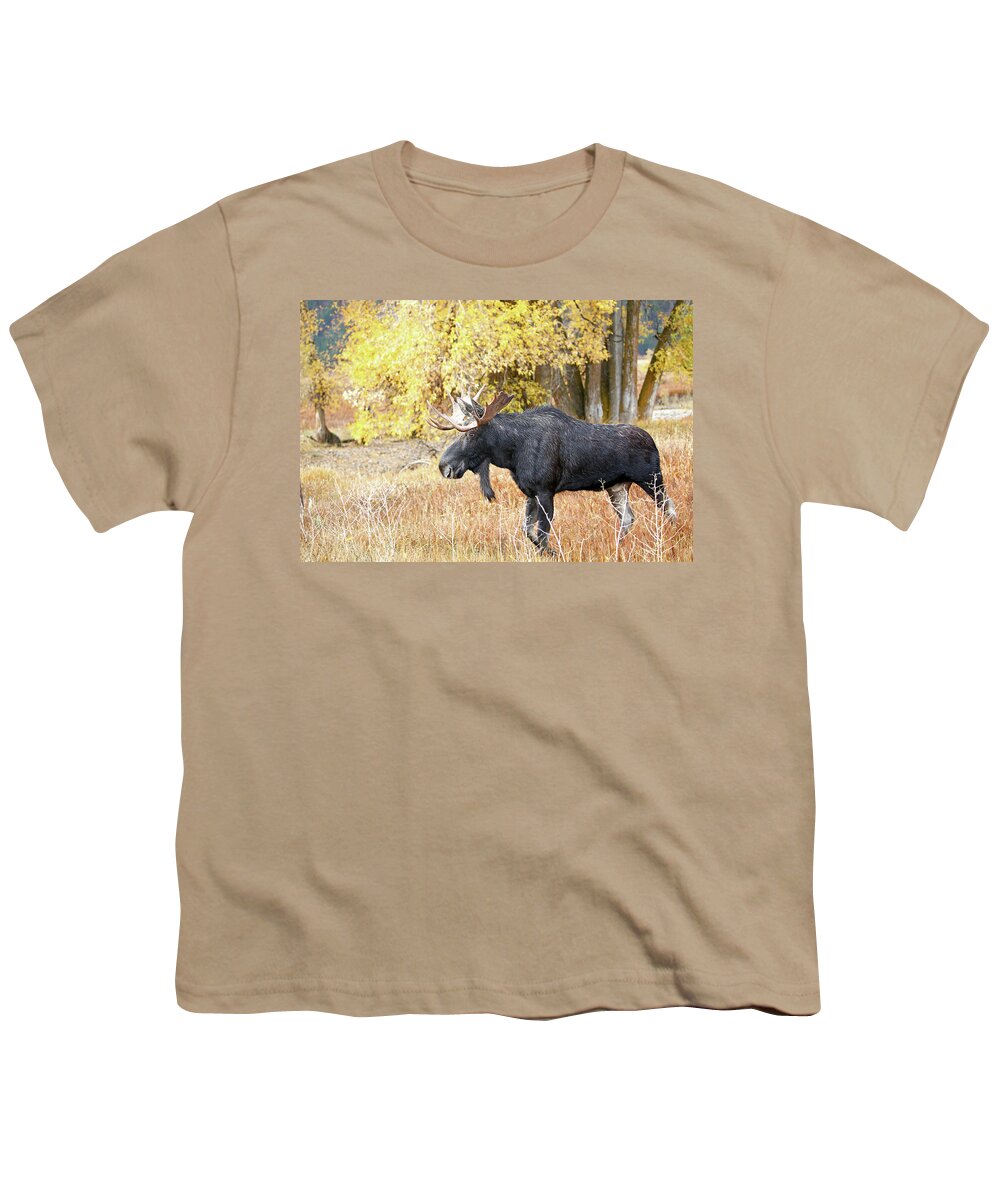 Bull Youth T-Shirt featuring the photograph 2021 Bull Moose Seven #1 by Jean Clark