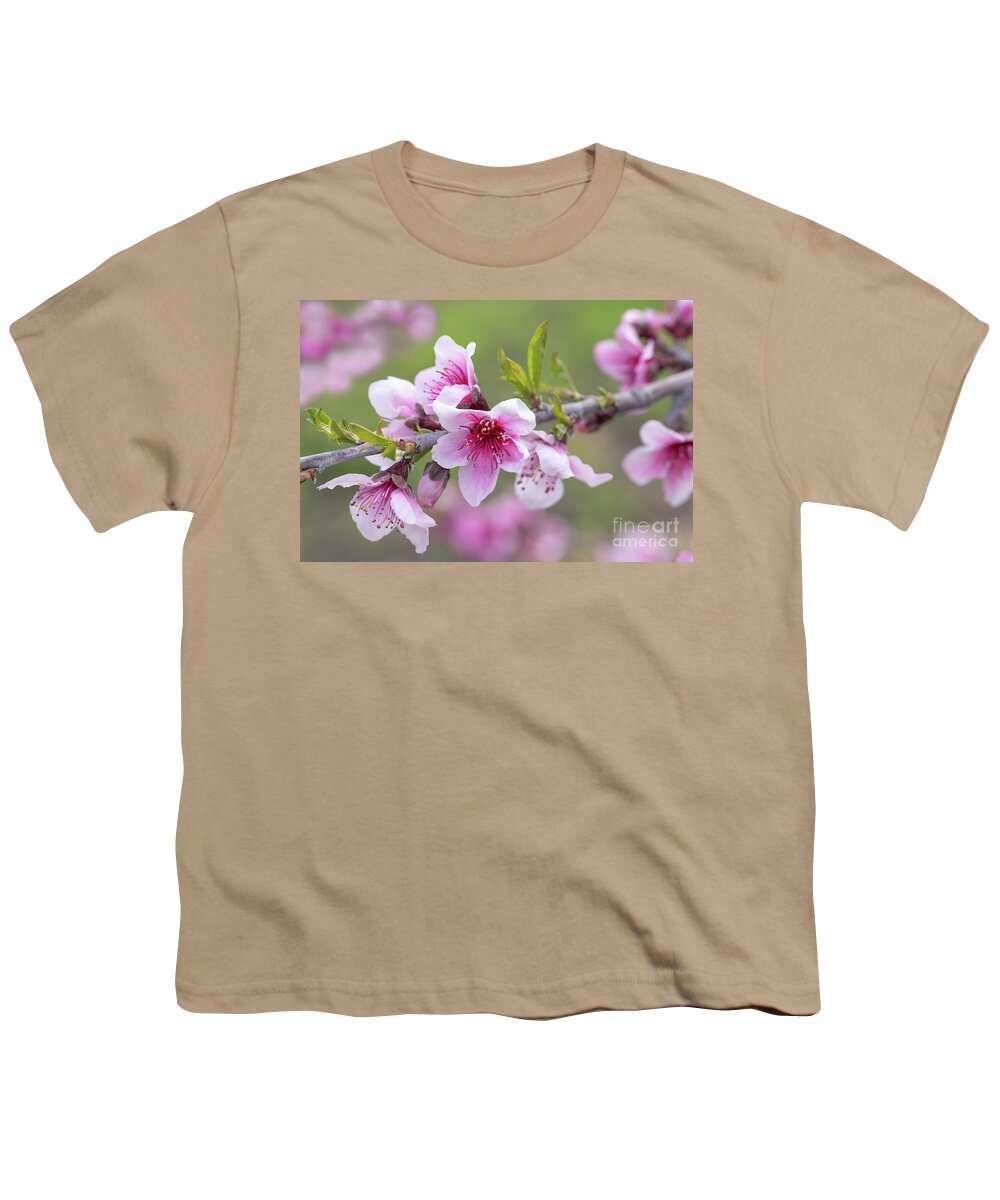 Blossom Youth T-Shirt featuring the photograph Apple Blossoms #1 by Mimi Ditchie
