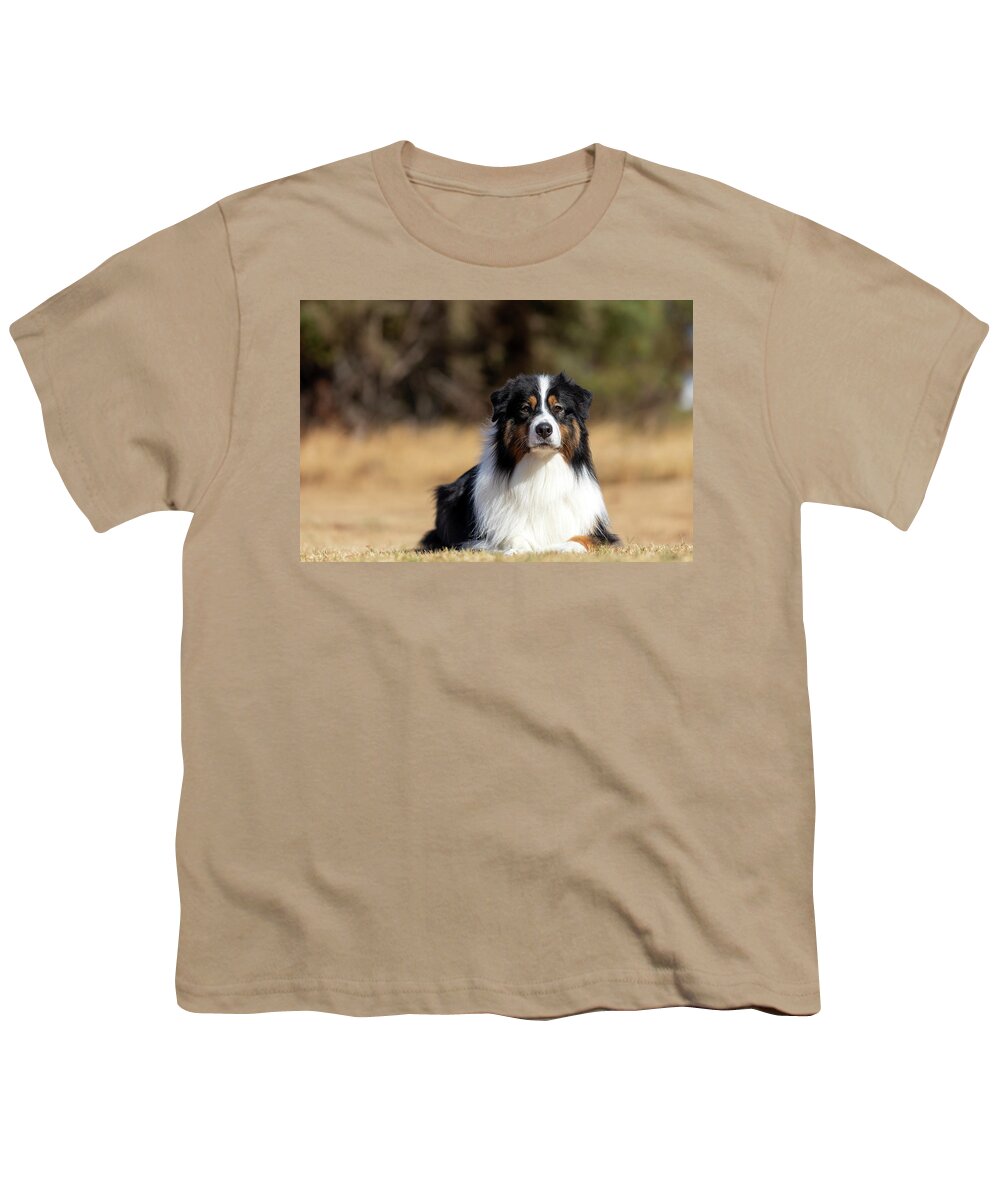 Australian Shepherd Youth T-Shirt featuring the photograph Black Tri-coloured Australian Shepherds by Diana Andersen