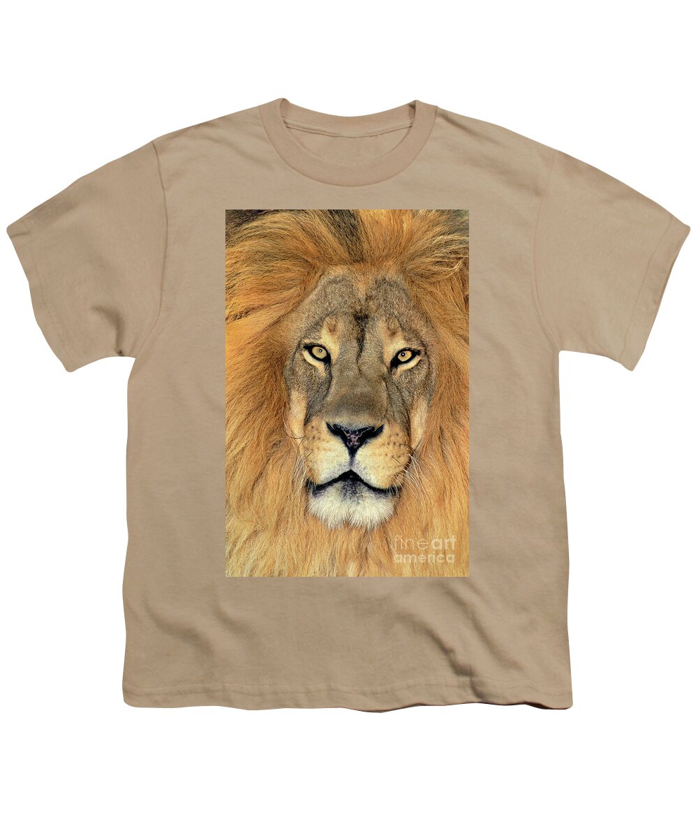 African Lion Youth T-Shirt featuring the photograph African Lion Portrait Wildlife Rescue by Dave Welling