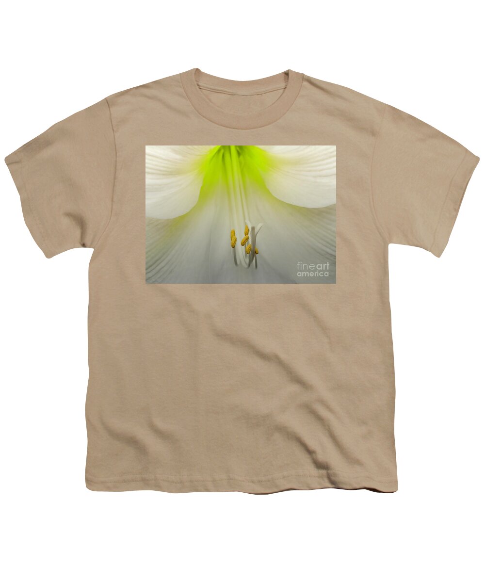 Lower Youth T-Shirt featuring the photograph Amaryllis by Cathy Donohoue