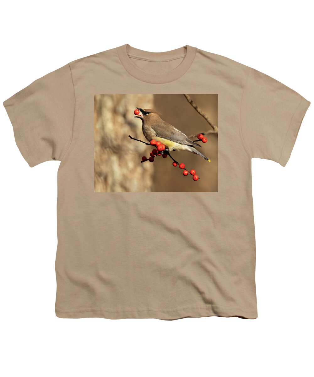 Bird Youth T-Shirt featuring the photograph Berry Tossing by Art Cole