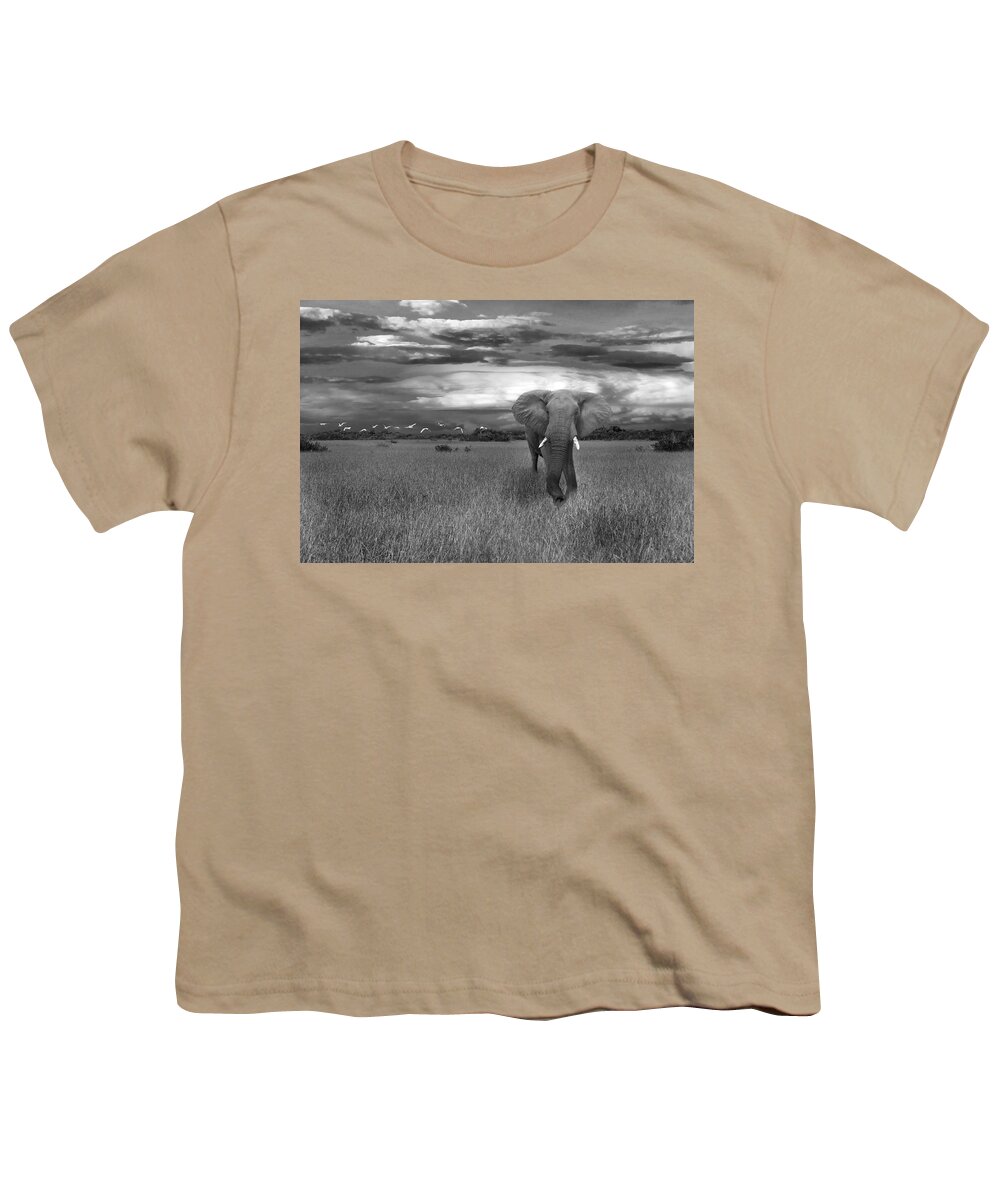 Mammal Youth T-Shirt featuring the photograph Bull Elephant by Ed Taylor