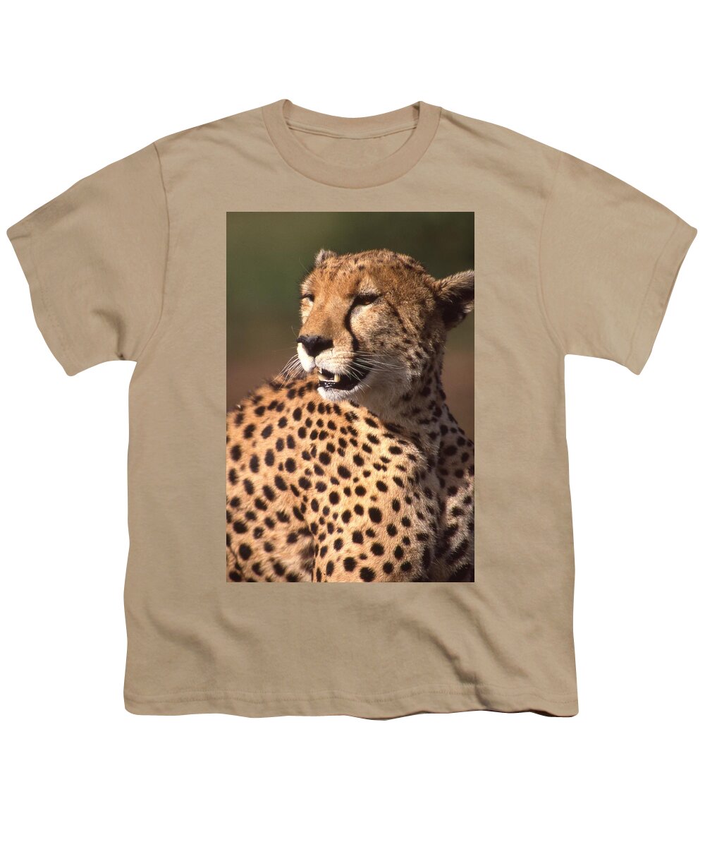 Cheetah Youth T-Shirt featuring the photograph Cheetah Profile by Russ Considine