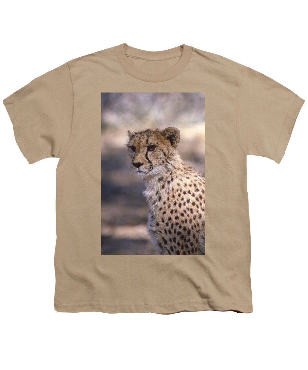 Cheetah Youth T-Shirt featuring the photograph Cheetah Staring by Russel Considine