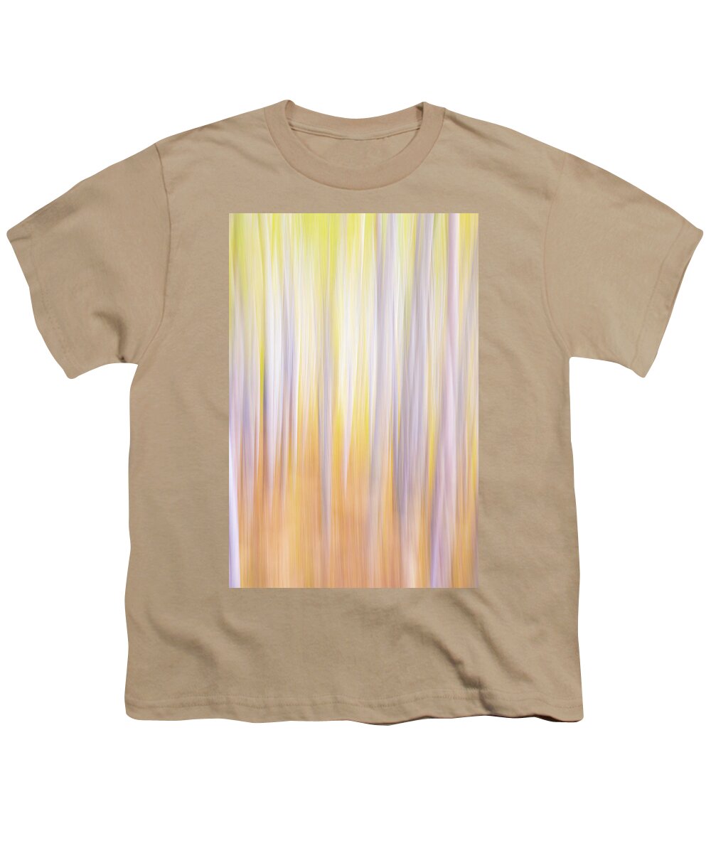 Abstract Youth T-Shirt featuring the photograph CO Abstract 810919 by David Downs